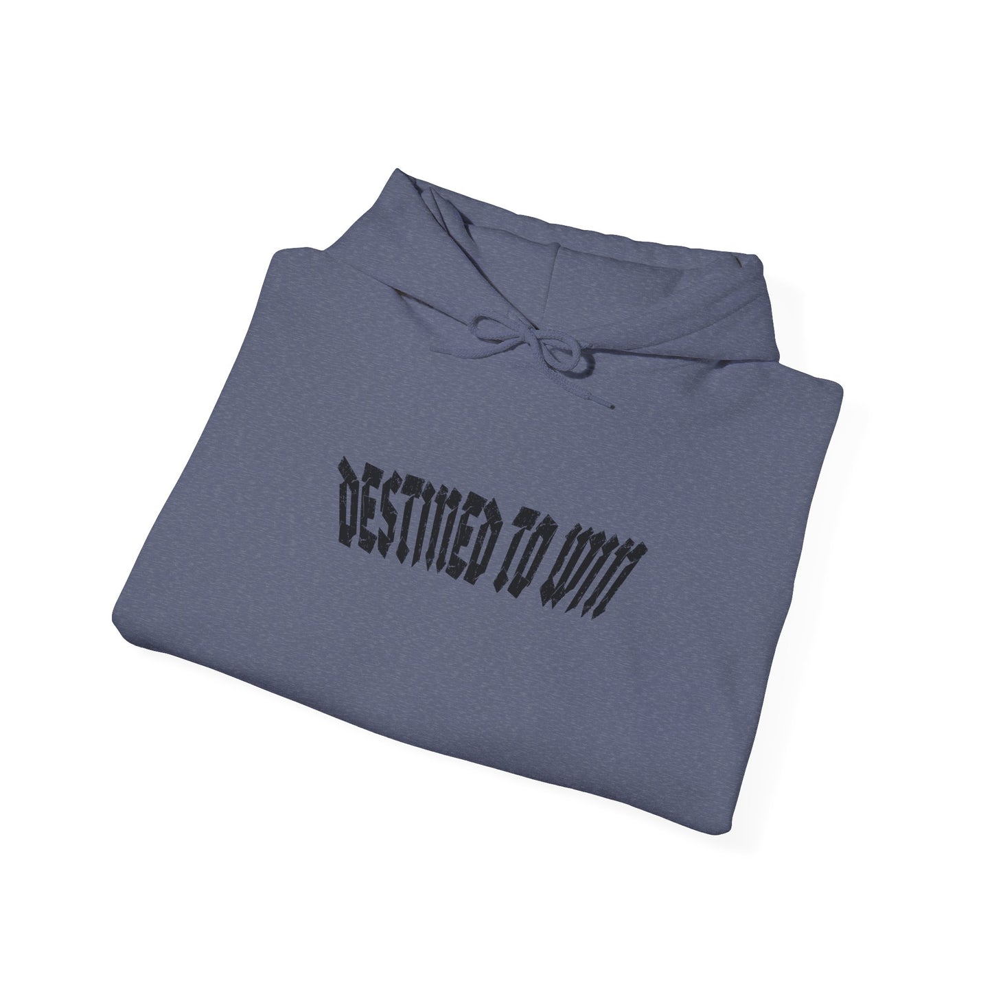 DESTINED TO WIN Hoodie.