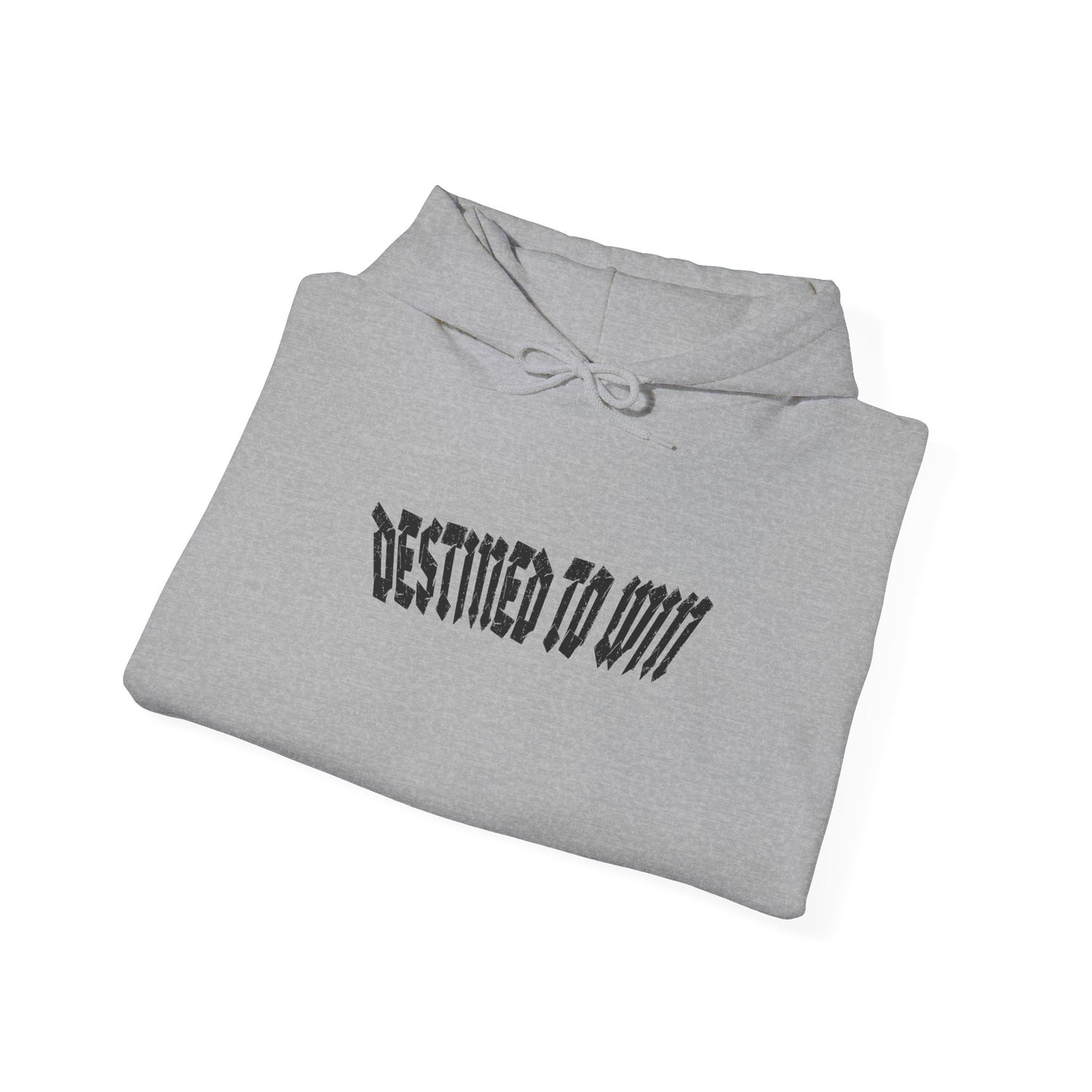 DESTINED TO WIN Hoodie.