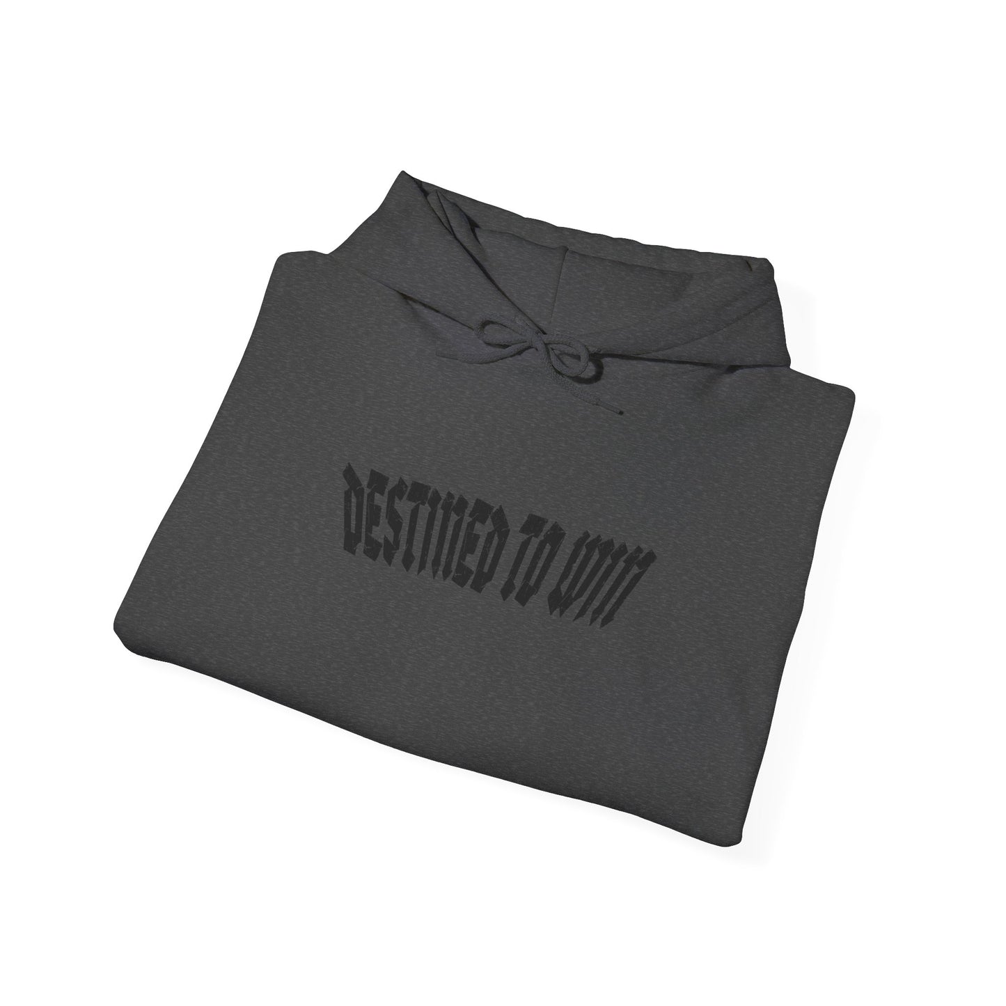 DESTINED TO WIN Hoodie.