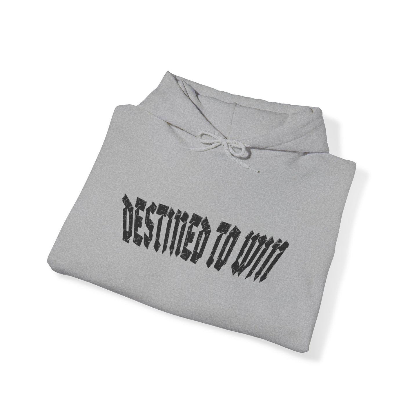 DESTINED TO WIN Hoodie.